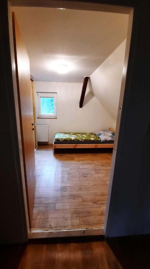 Villa Dům u lesa - Nové Hamry Esterno foto