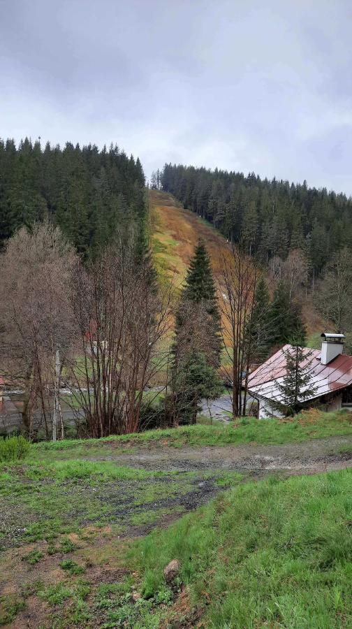 Villa Dům u lesa - Nové Hamry Esterno foto